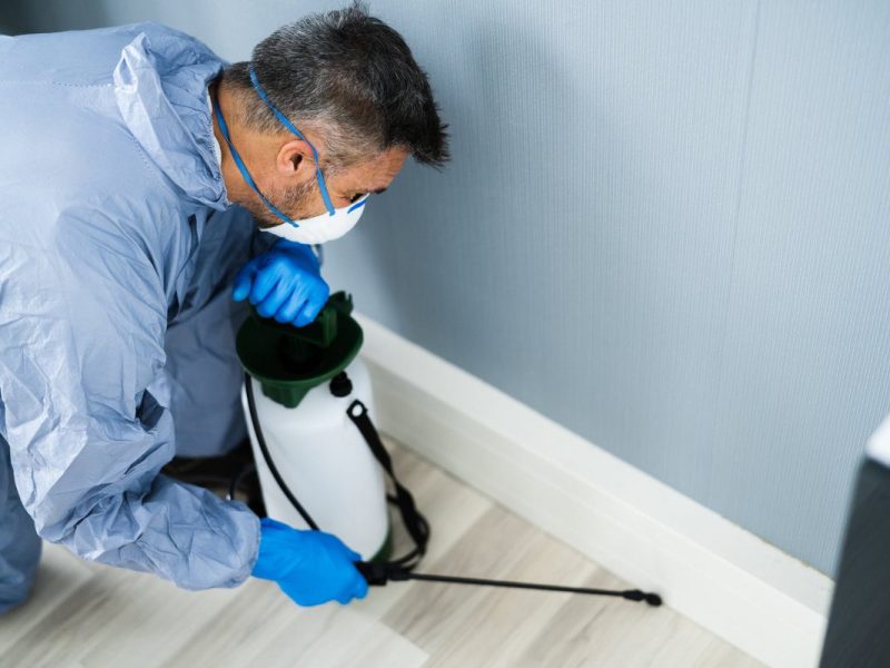 Eco-Friendly Pest Control Services: Promoting Environmental Sustainability