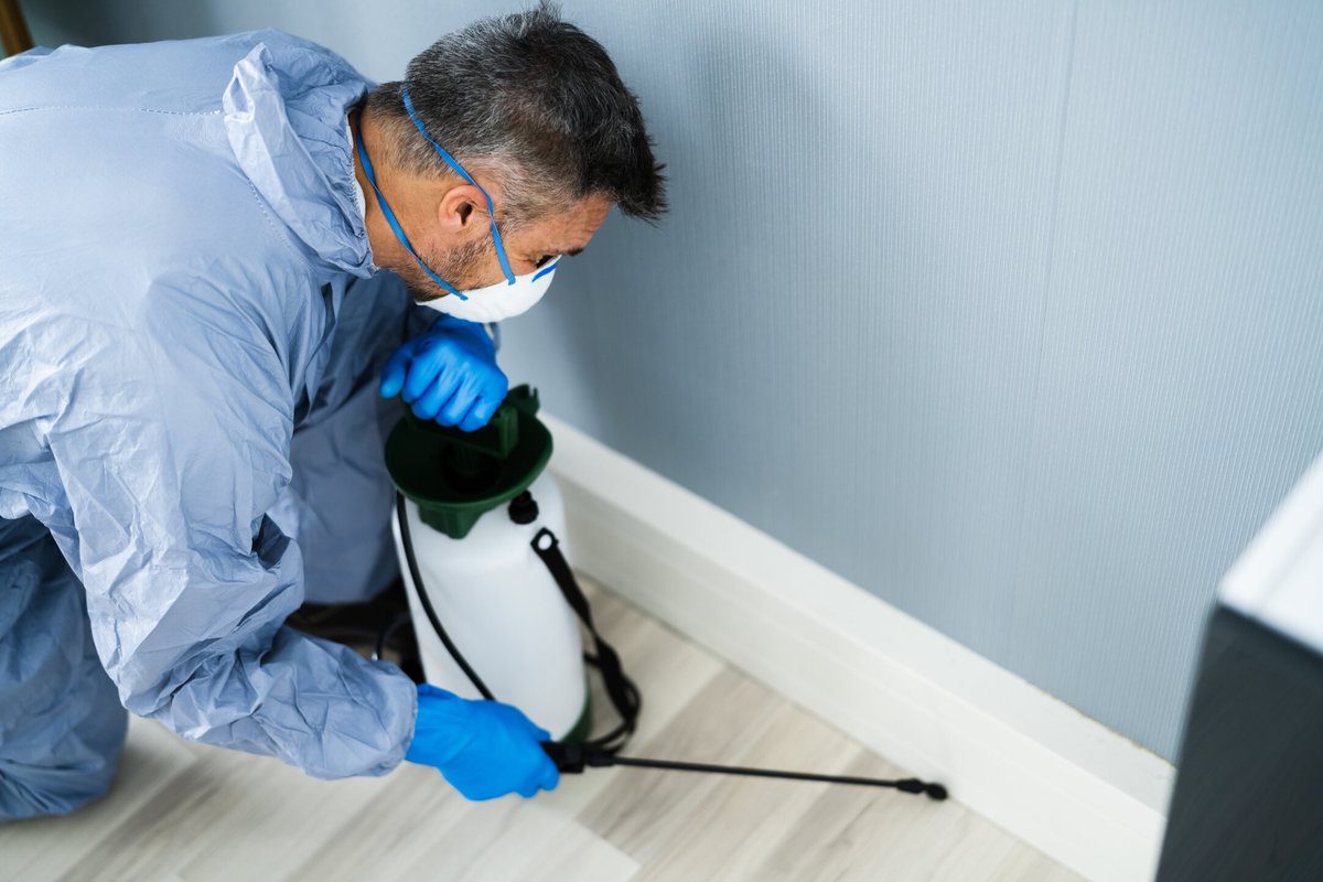 Eco-Friendly Pest Control Services: Promoting Environmental Sustainability