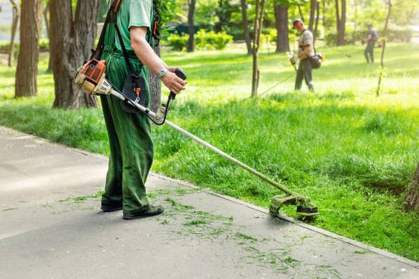 Fayetteville Landscaping: Bringing Green Dreams to Life